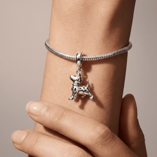 Símbolo Dálmata Amor leal